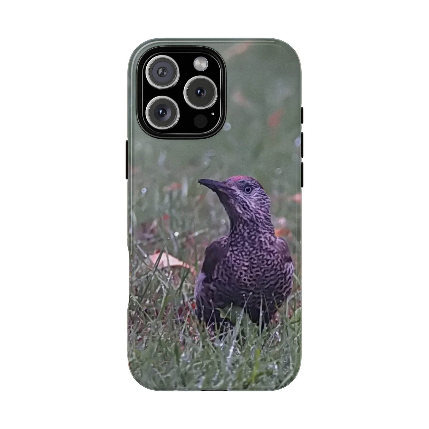 Phone Cases - Green Woodpecker Design
