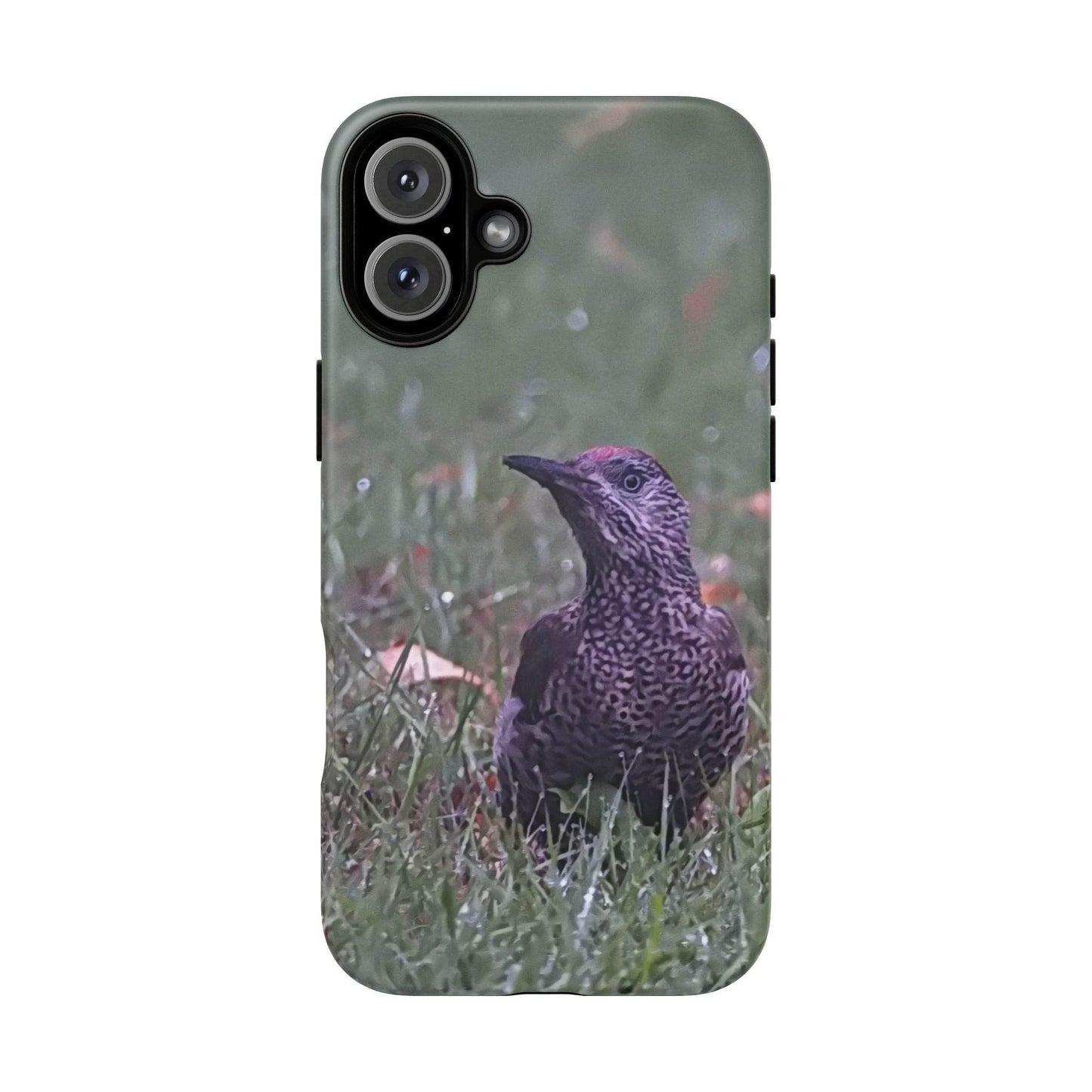 Phone Cases - Green Woodpecker Design