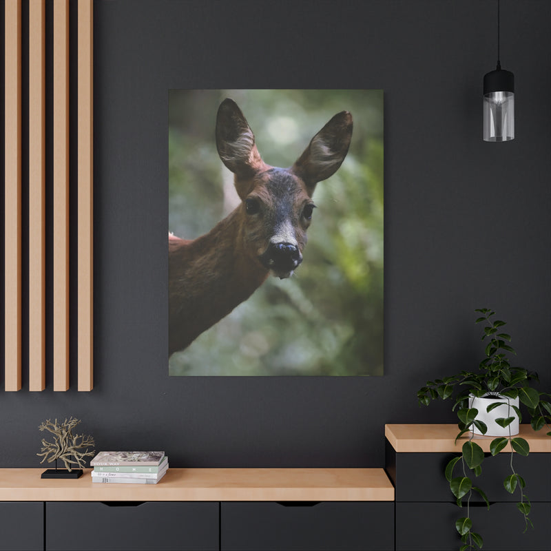 Contemplative 36″ x 48″ | 91.44 cm x 121.92 cm animal portrait wall art on a 1.25″ | 3.18 cm thick matte canvas print.