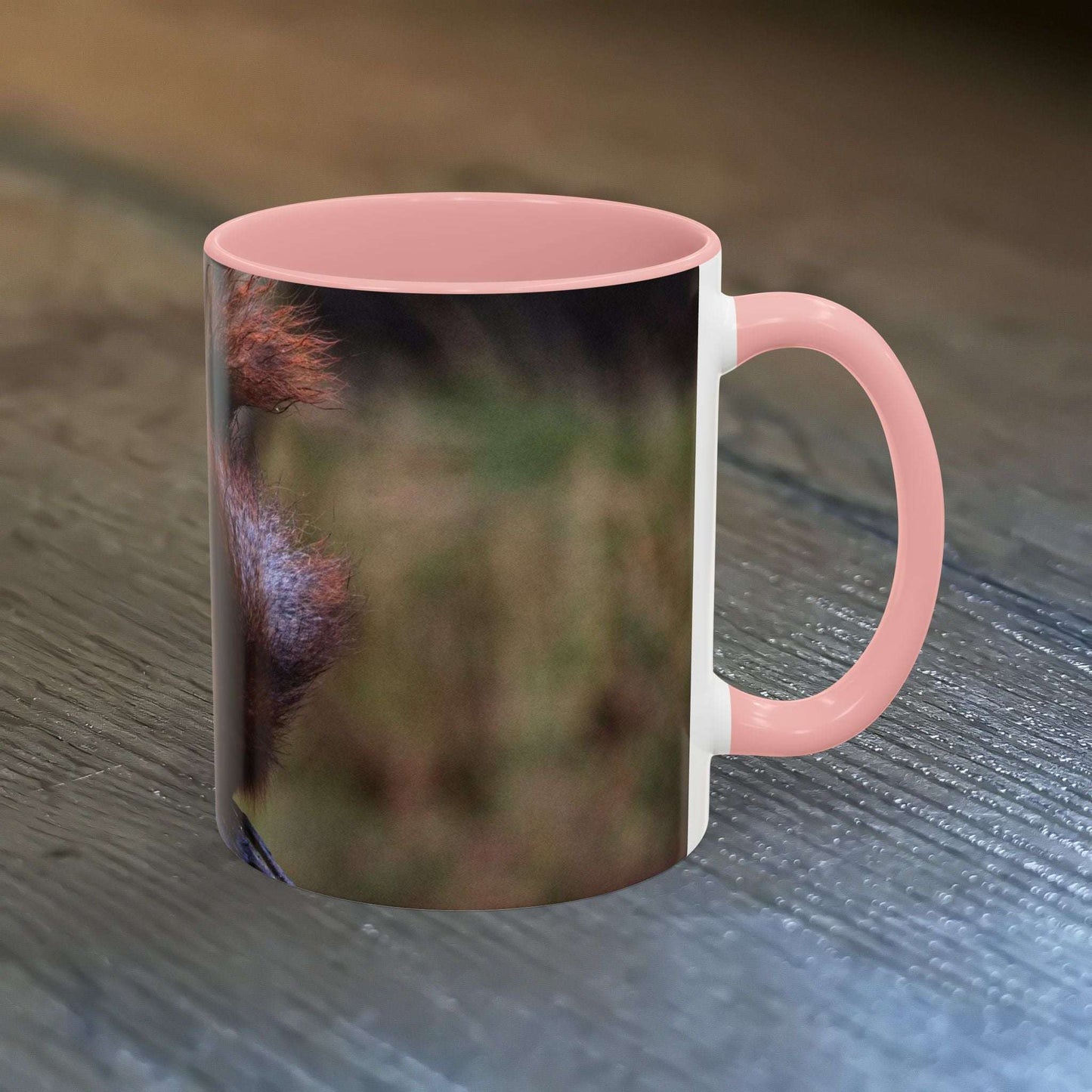 Adorable Squirrel Ceramic Mug with cute illustration, 11oz, microwave and dishwasher safe.