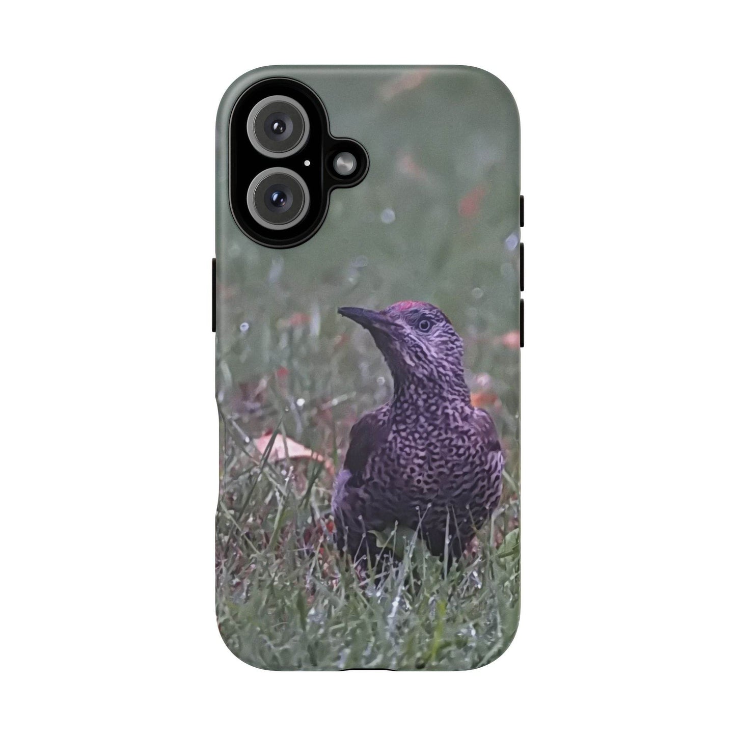 Phone Cases - Green Woodpecker Design