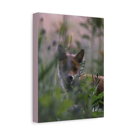 Fox In Wild Matte Canvas Print — Nature Wall Art, Stretched 1.25"