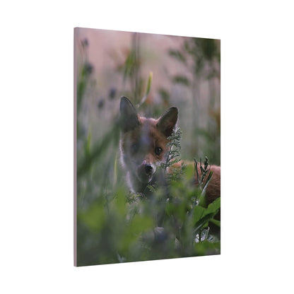 Vos in het wild, matte canvasprint — Natuur muurdecoratie, gespannen op een frame van 3,17 cm (1,25 inch)