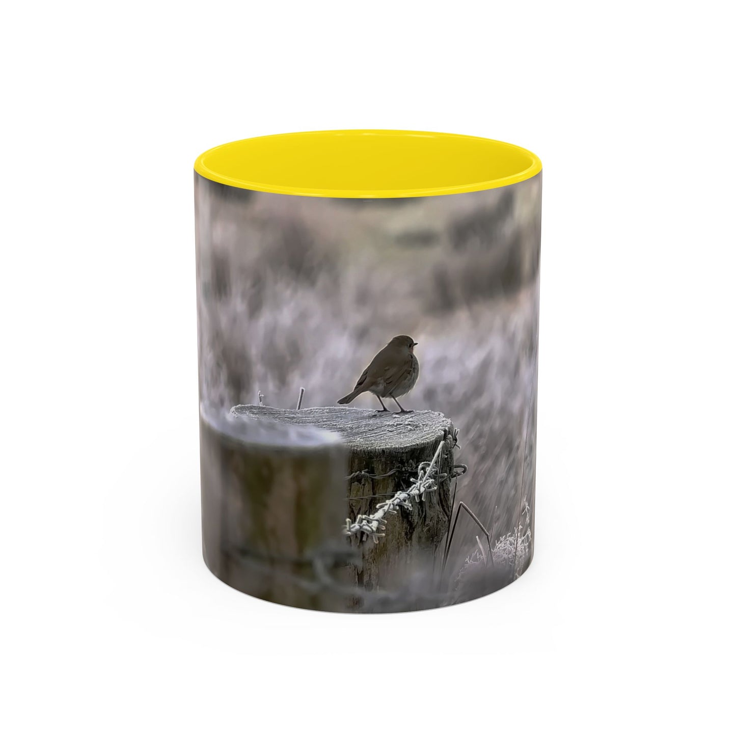 Rustic Robin Accent Coffee Mug — Nature Bird Photography