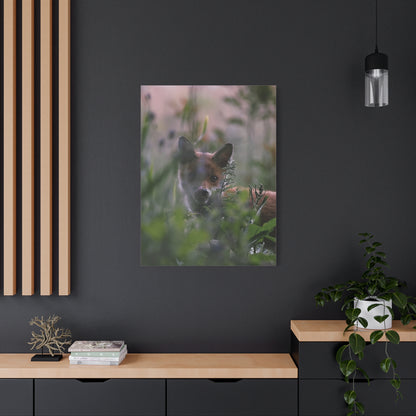 Vos in het wild, matte canvasprint — Natuur muurdecoratie, gespannen op een frame van 3,17 cm (1,25 inch)