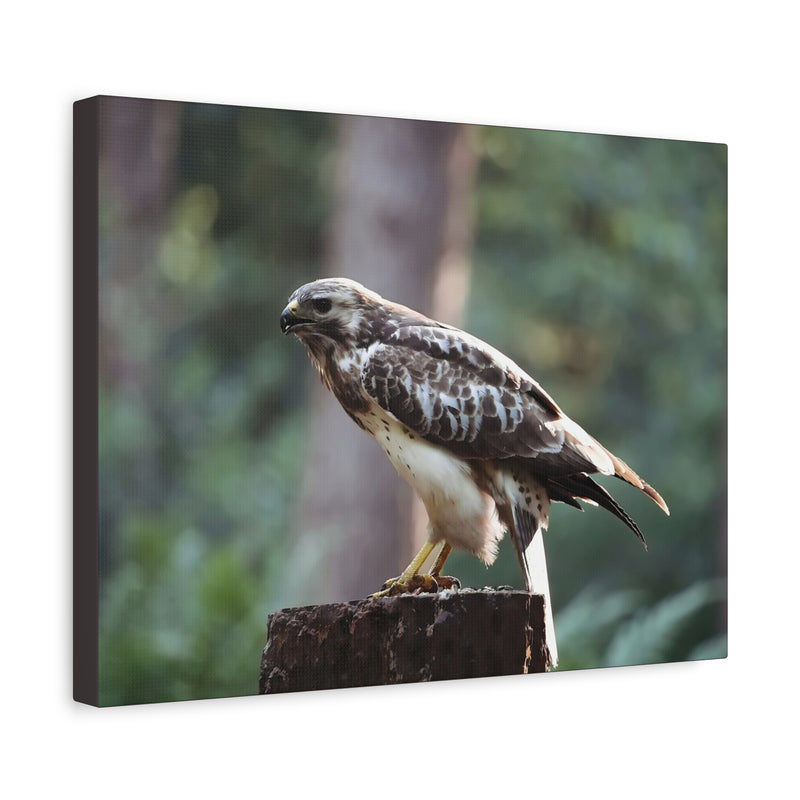 Stretched nature photography print canvasafdruk in 16″ x 12″ | 40.64 cm x 30.48 cm with 1.25″ | 3.18 cm depth.