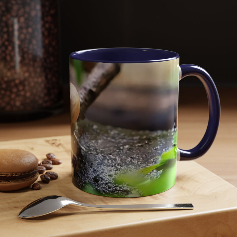 Hübsche Hausschnecken-Kaffeetasse
