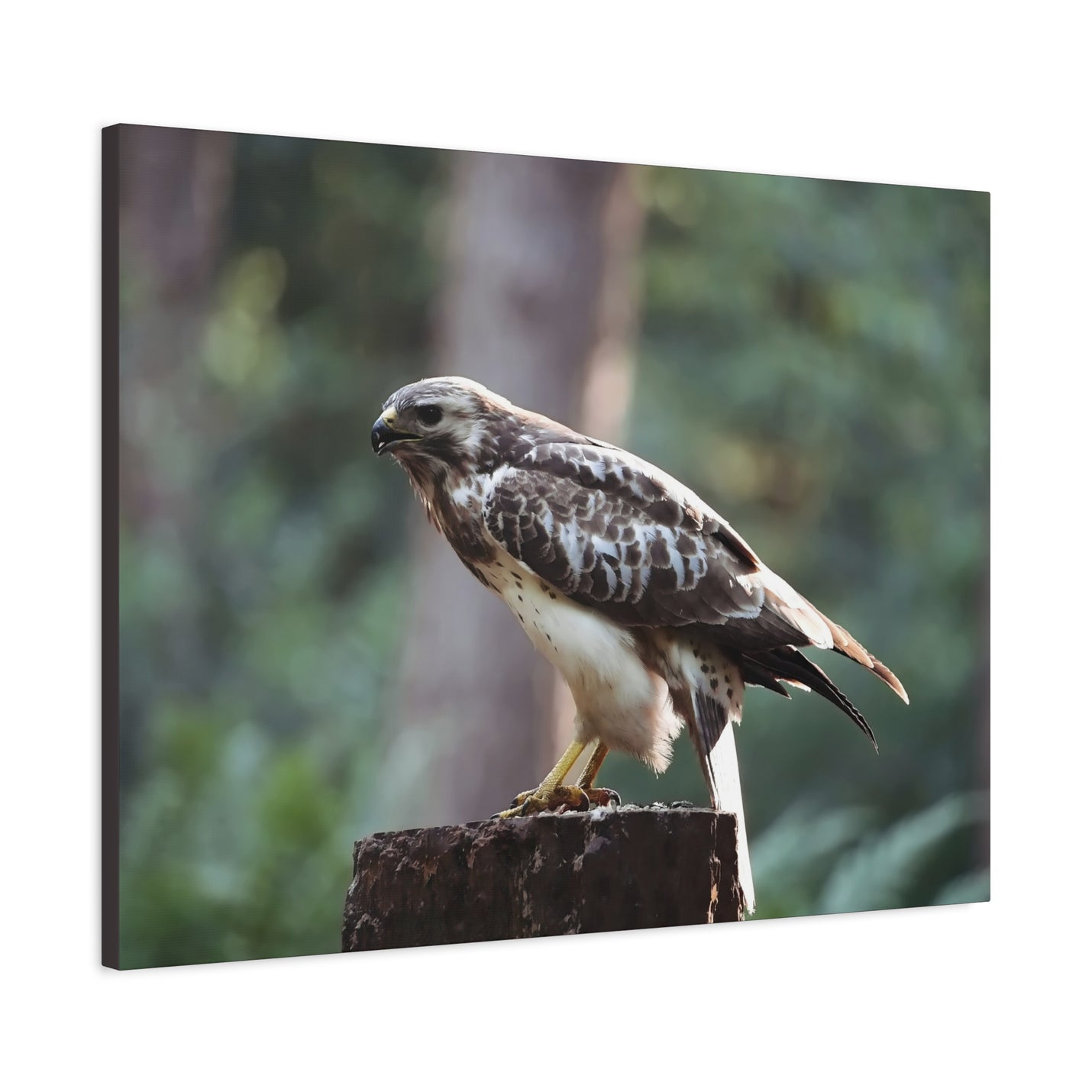 Stretched nature photography print canvasafdruk in 32″ x 24″ | 81.28 cm x 60.96 cm with 1.25″ | 3.18 cm depth.