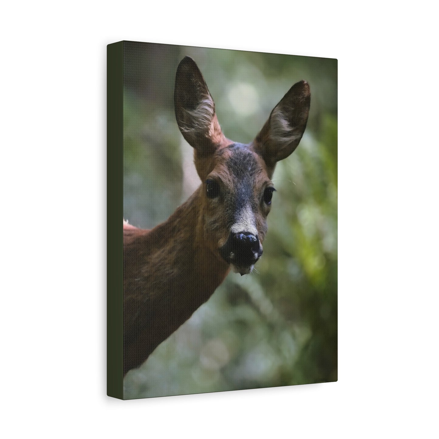 Deer Portrait Matte Canvas Print — Stretched Wall Art for Nature Lovers