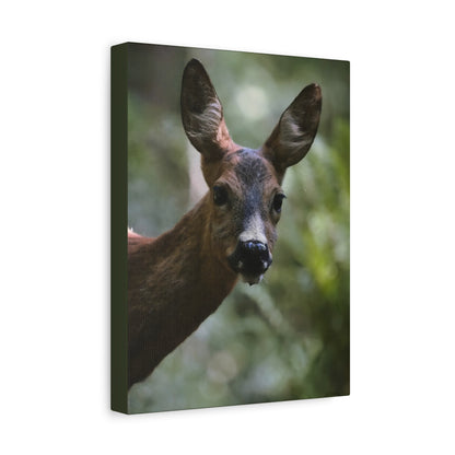Deer Portrait Matte Canvas Print — Stretched Wall Art for Nature Lovers