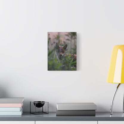 Vos in het wild, matte canvasprint — Natuur muurdecoratie, gespannen op een frame van 3,17 cm (1,25 inch)