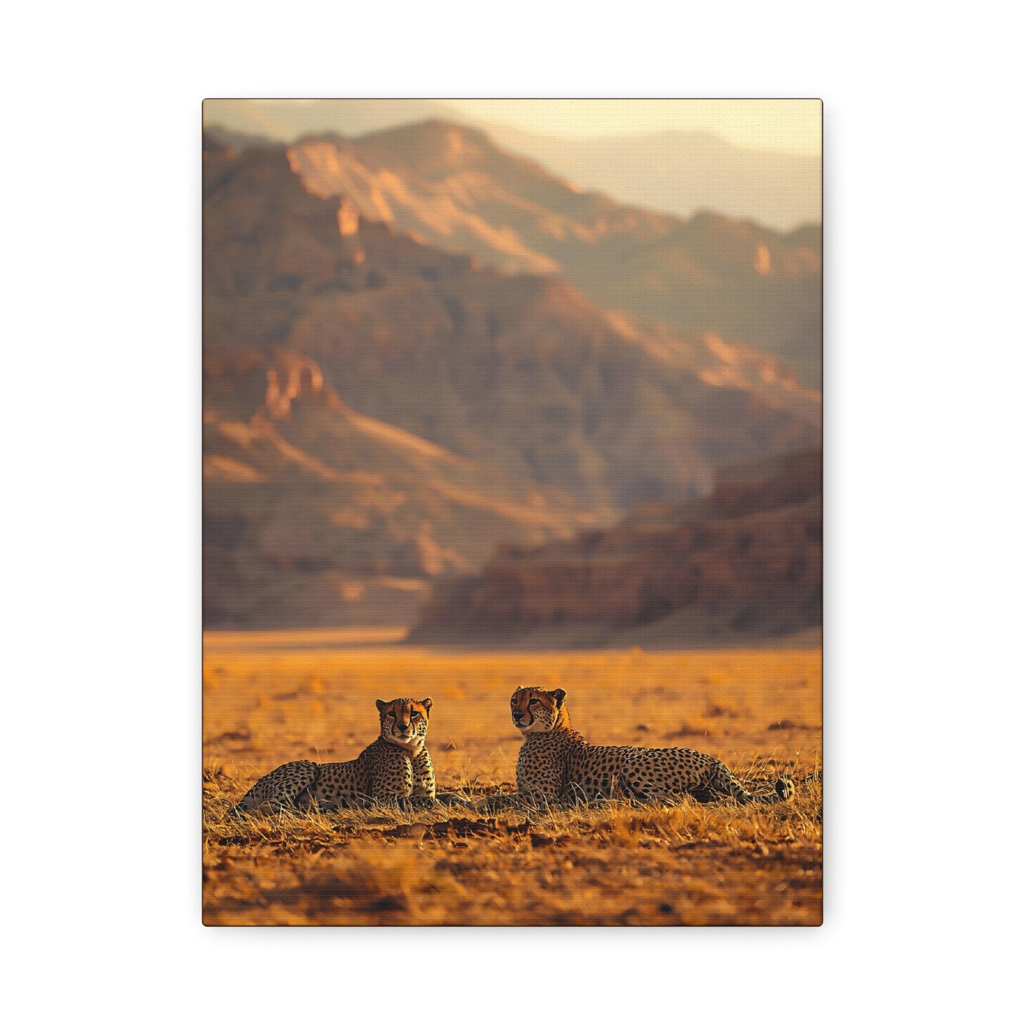 Cheetah Pair Desert Landscape Matte Canvas Print