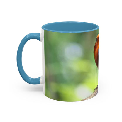 Stately Robin Mug