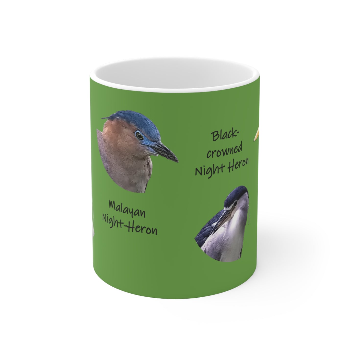 Natur-Becher 325ml mit lebendigem Design taiwanischer Reiherarten.