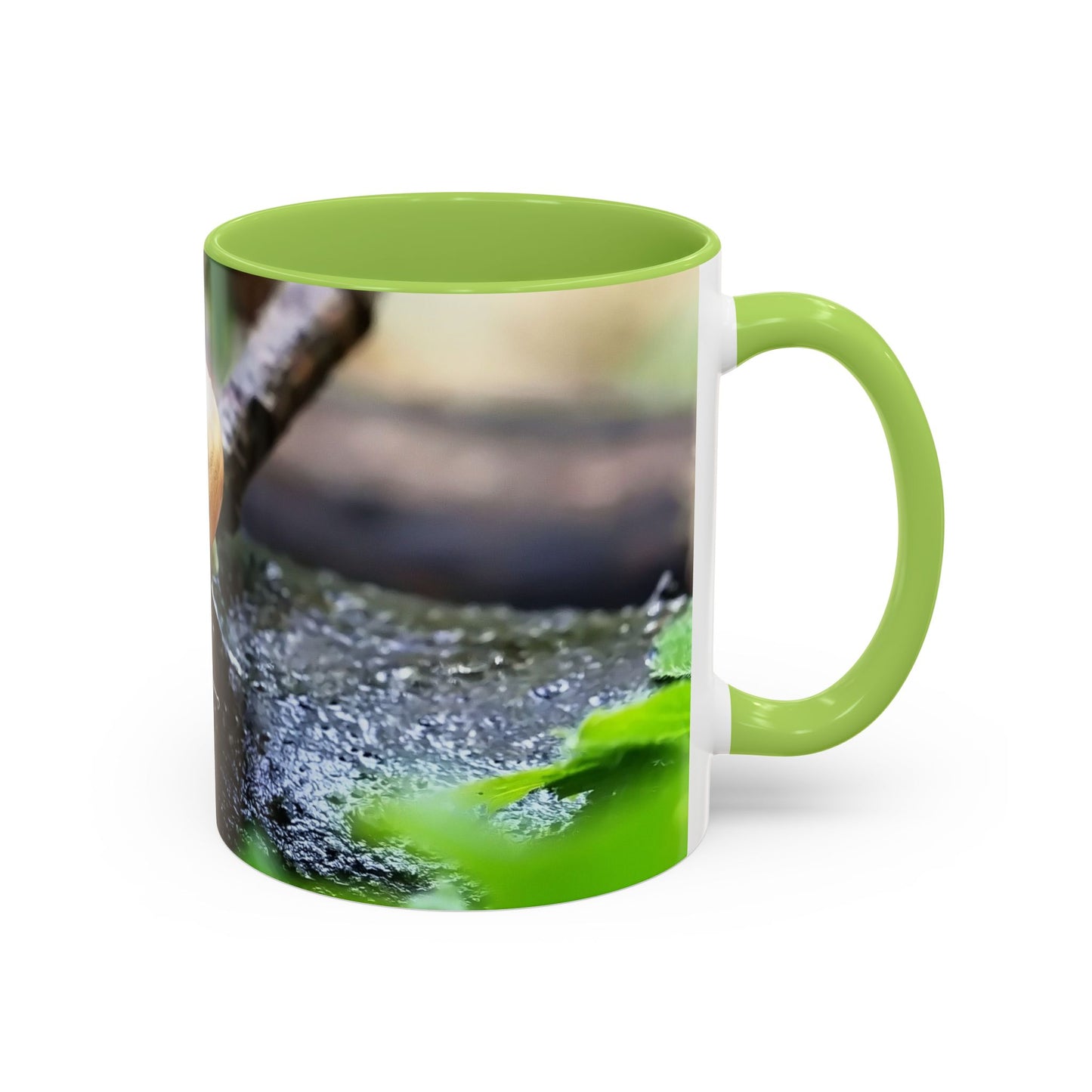 Pretty House Snail Coffee Mug