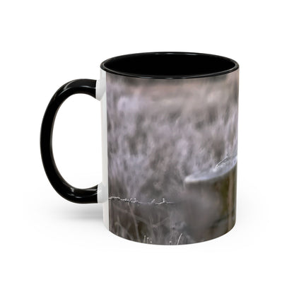 Rustic Robin Accent Coffee Mug — Nature Bird Photography