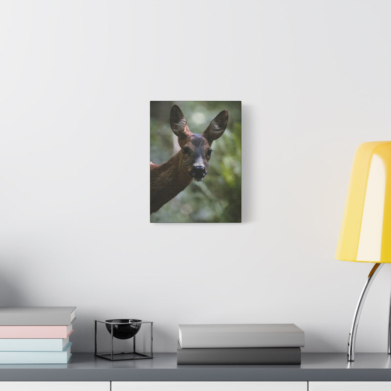 Premium 9″ x 12″ | 22.86 cm x 30.48 cm textured wildlife canvas print on a modern 1.25″ | 3.18 cm wood gallery inner frame.