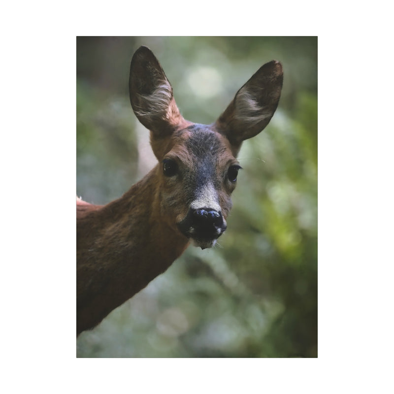 Deer Portrait Matte Canvas Print in 36″ x 48″ | 91.44 cm x 121.92 cm size with a stretched 1.25″ | 3.18 cm depth frame.