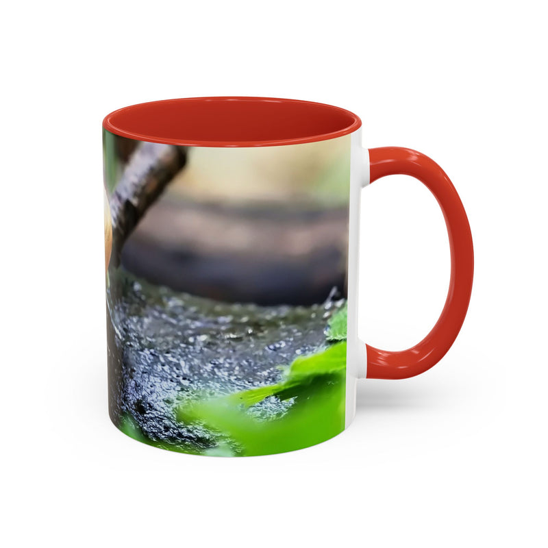 Hübsche Hausschnecken-Kaffeetasse
