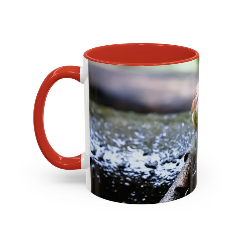 Hübsche Hausschnecken-Kaffeetasse