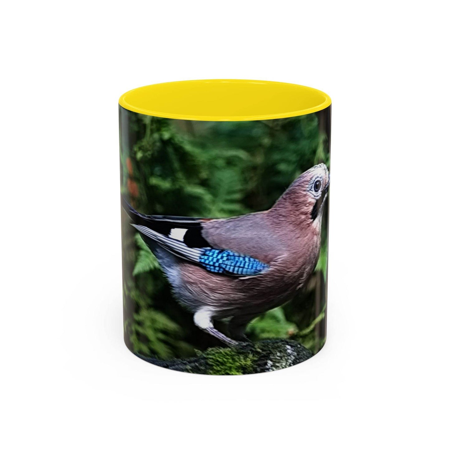 Mug - Colorful Jay, Bird Lover Coffee Mug