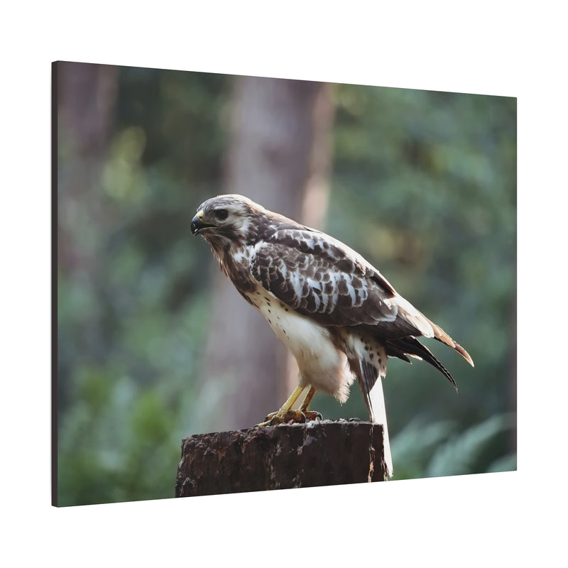 Stretched nature photography print canvasafdruk in 48″ x 36″ | 121.92 cm x 91.44 cm with 1.25″ | 3.18 cm depth.