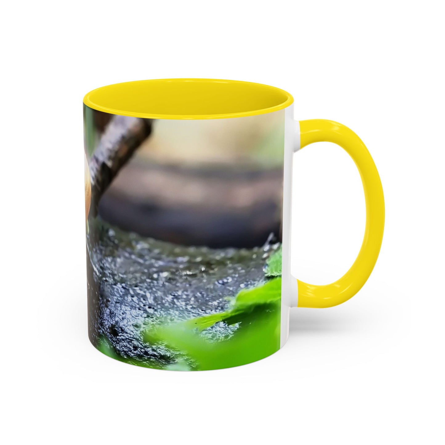 Pretty House Snail Coffee Mug