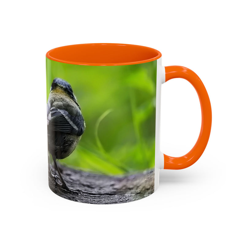 Premium 325ml coal tit nature photo mug featuring an orange handle and orange inside.