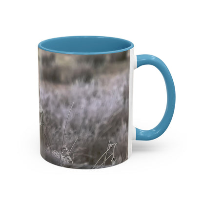 Rustic Robin Accent Coffee Mug — Nature Bird Photography