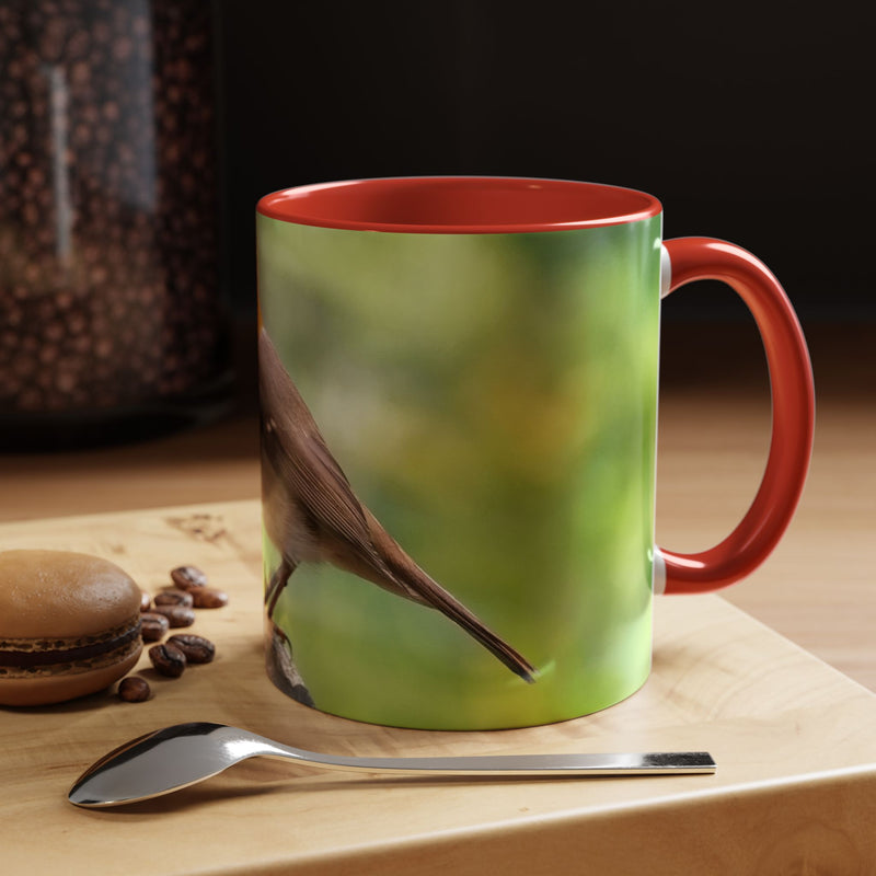 Stately Robin Ceramic Mug 325ml with Red handle and interior — unique wildlife photo on red coffee mug.