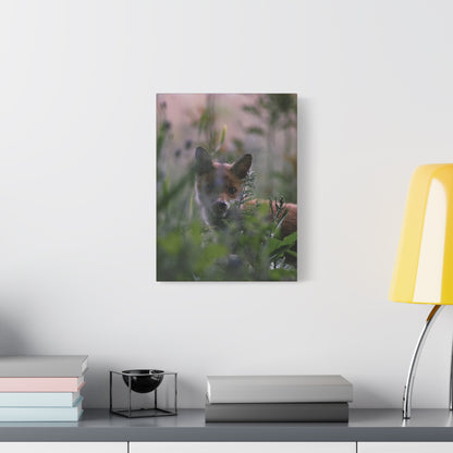 Vos in het wild, matte canvasprint — Natuur muurdecoratie, gespannen op een frame van 3,17 cm (1,25 inch)