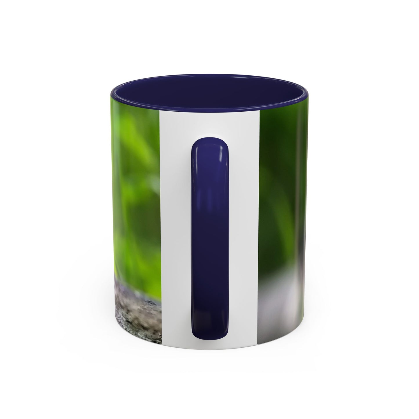 Bird Photography Accent Coffee Mug – Coal Tit Nature Photo Mug