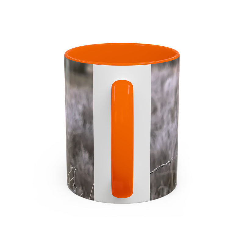 Nature photography gift: 11oz robin print mug with Orange handle and interior.