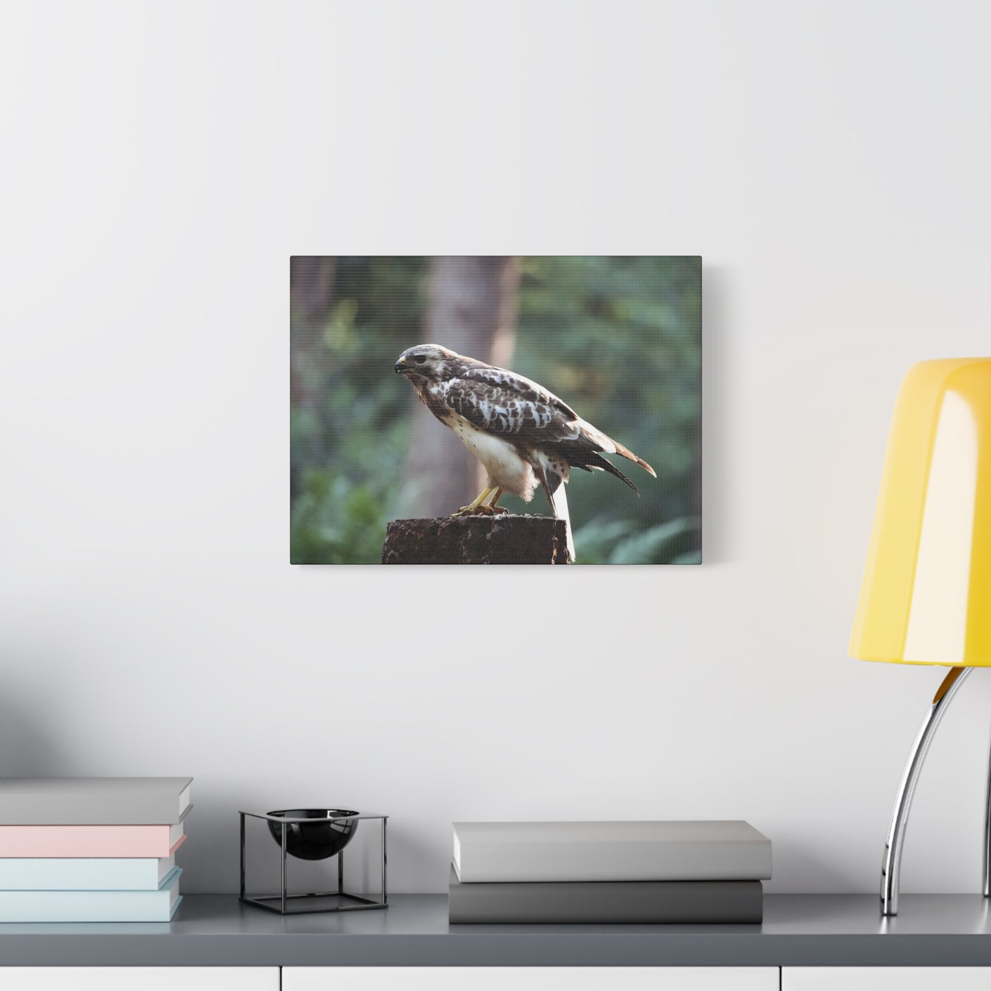 Premium 16″ x 12″ | 40.64 cm x 30.48 cm wildlife buzzard portrait on a 1.25″ | 3.18 cm wood gallery framework.