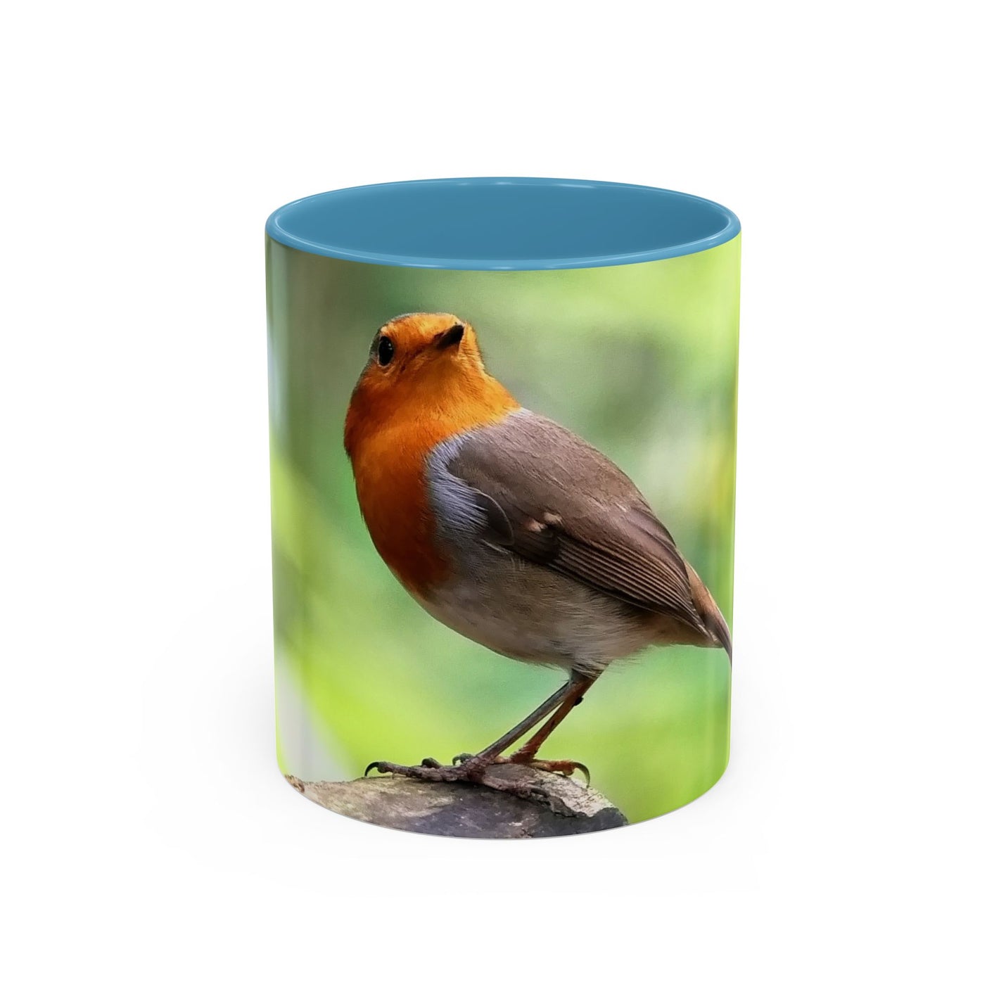 Stately Robin Ceramic Mug 325ml with Light Blue handle and interior — detailed robin bird print.