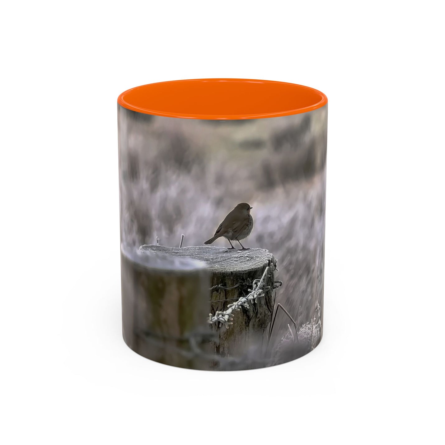 11oz mug featuring a robin nature print with an Orange handle and interior.