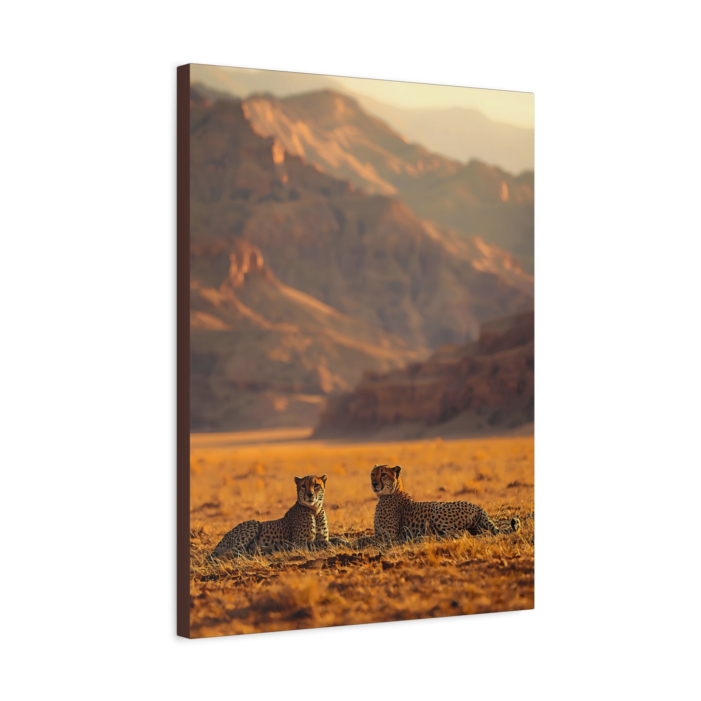 Cheetah Pair Desert Landscape Matte Canvas Print