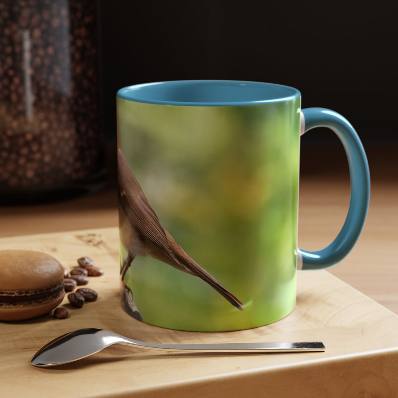 Stately Robin Ceramic Mug 325ml with Light Blue handle and interior — robin photography gift mug.