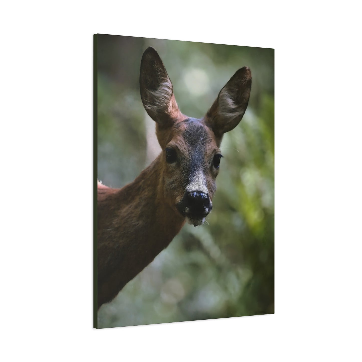 Deer Portrait Matte Canvas Print — Stretched Wall Art for Nature Lovers