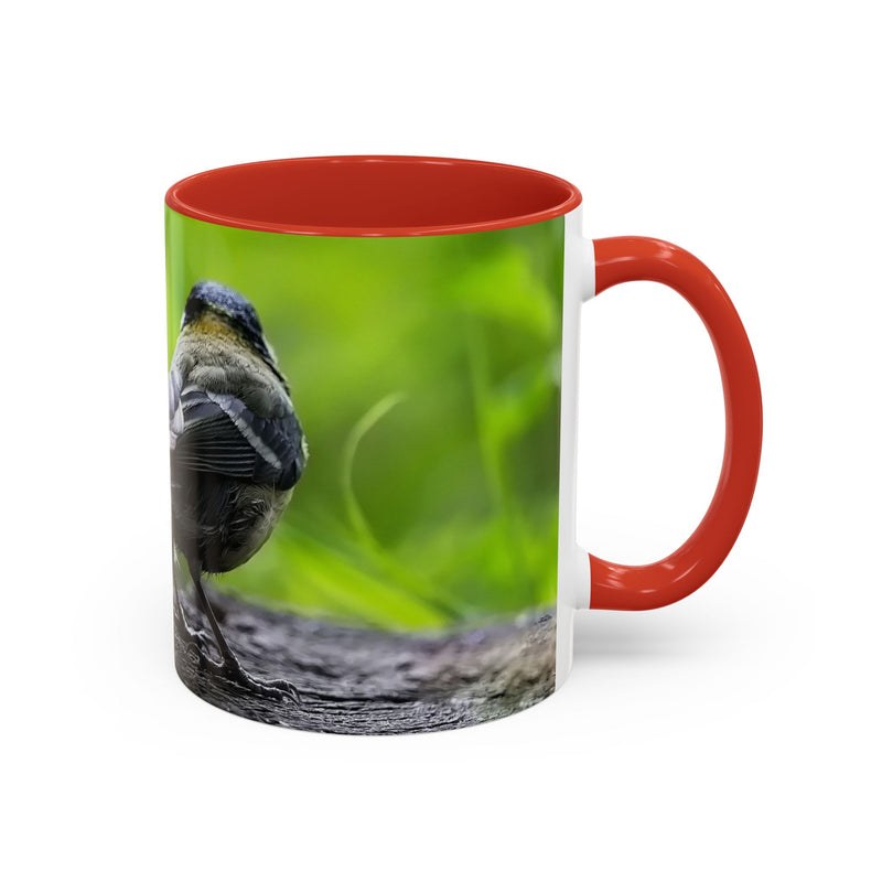Premium 325ml coal tit nature photo mug featuring a red handle and red inside.