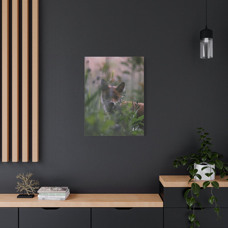 Muted tone 24″ x 32″ | 60.96 cm x 81.28cm woodland animal photo with a modern 1.25″ | 3.18 cm stretched gallery wrap.