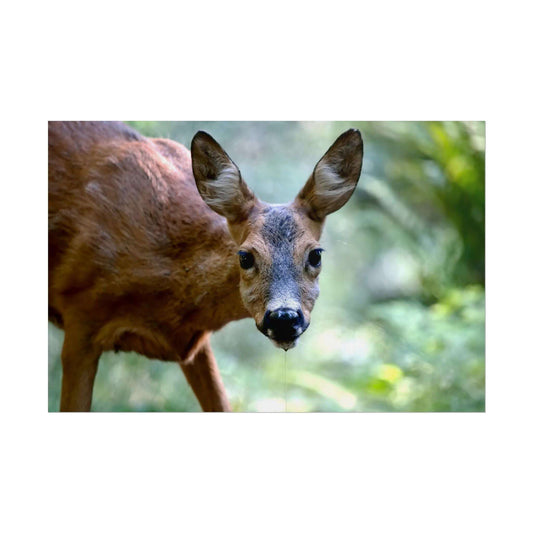 Nature-Inspired Curious Deer poster featuring a wide-eyed deer in lush greenery.