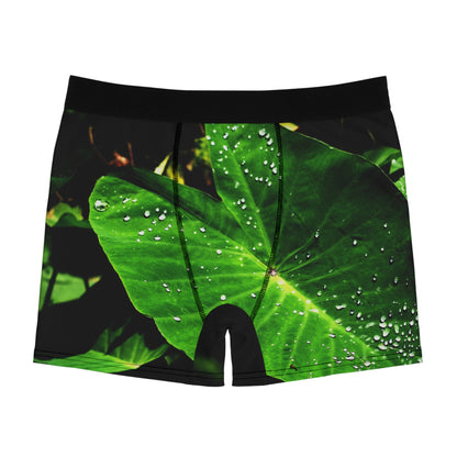 Spinnen-Natur-Print Herren-Boxershorts, Unterwäsche, Unterhose Geschenk für Ihn, Arachnid-Boxershorts, Nachtwäsche für Wildtierliebhaber, Insektenmuster