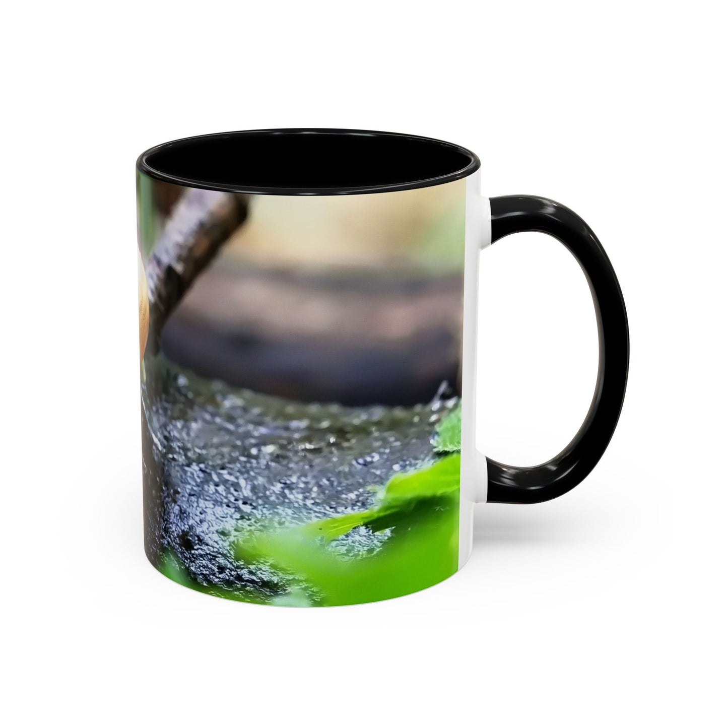 Pretty House Snail Coffee Mug