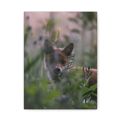 Vos in het wild, matte canvasprint — Natuur muurdecoratie, gespannen op een frame van 3,17 cm (1,25 inch)