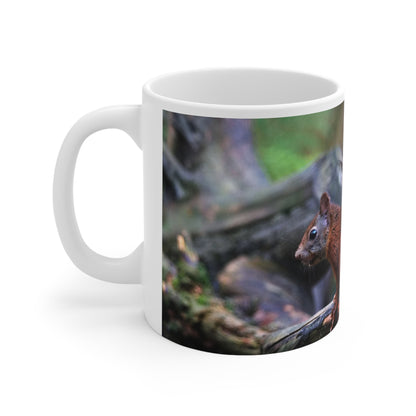 Adorable Squirrel Ceramic Mug - 11oz Nature Lover Gift