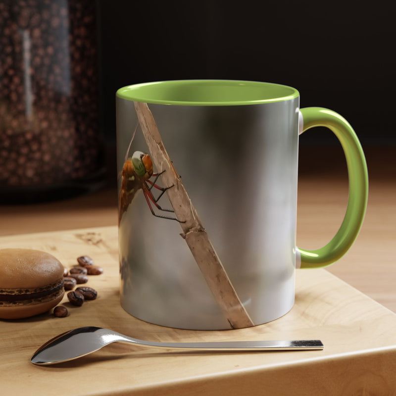 Beautiful 325ml dragonfly mug with a smooth finish, a perfect gift idea featuring a bold light green handle and light green inside.
