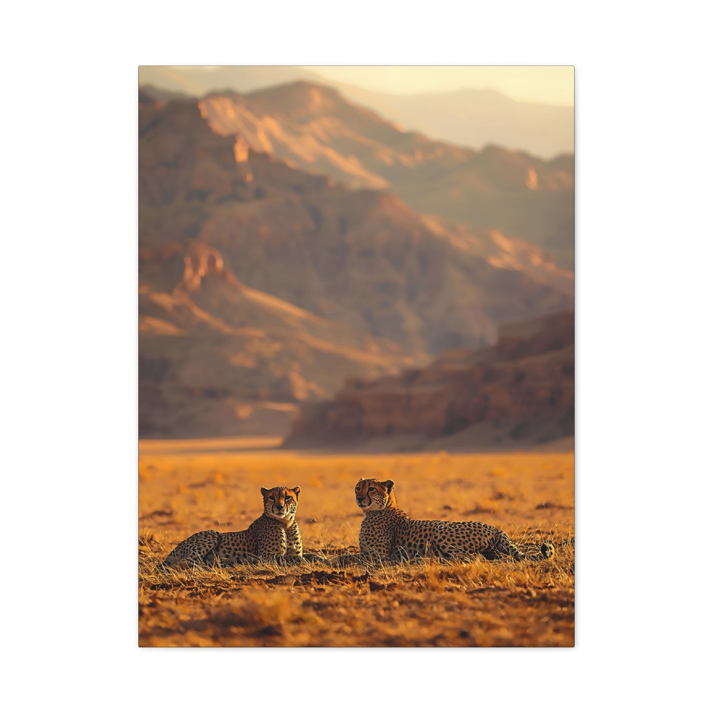 Cheetah Pair Desert Landscape Matte Canvas Print