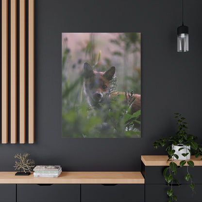 Vos in het wild, matte canvasprint — Natuur muurdecoratie, gespannen op een frame van 3,17 cm (1,25 inch)