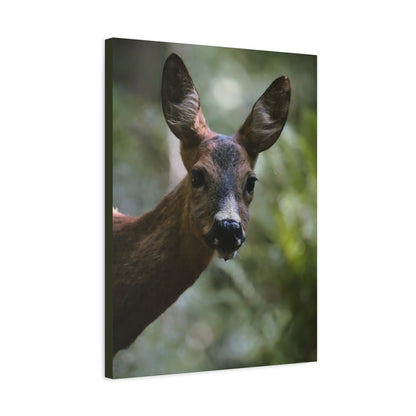 Deer Portrait Matte Canvas Print — Stretched Wall Art for Nature Lovers